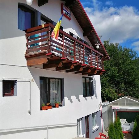 Vila Darian Vila Buşteni Exterior foto