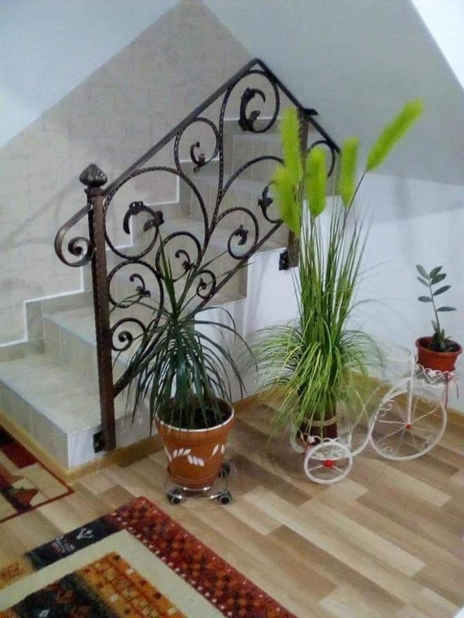 Vila Darian Vila Buşteni Exterior foto