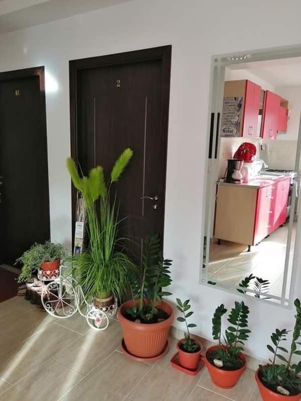 Vila Darian Vila Buşteni Exterior foto