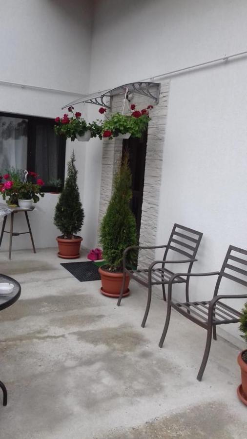 Vila Darian Vila Buşteni Exterior foto