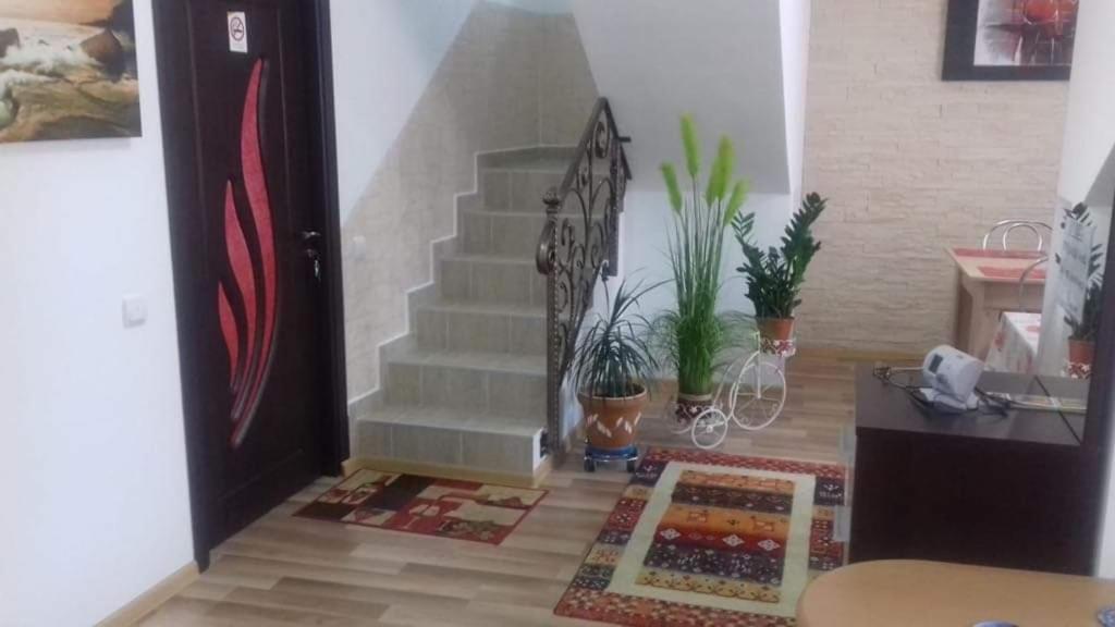 Vila Darian Vila Buşteni Exterior foto