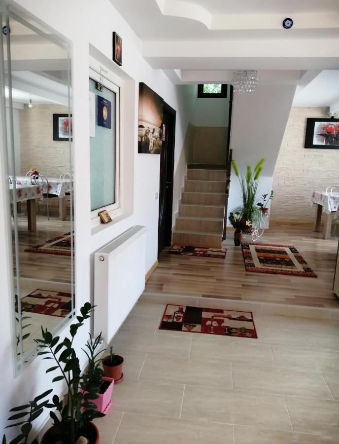 Vila Darian Vila Buşteni Exterior foto